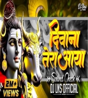 Deewana Tera Aaya (Remix) DJ Lns