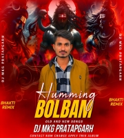 Bhole Ki Pagli (Remix) DJ Monu Mkg