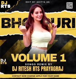 Bichhi Ke Jahar (Remix) DJ Ritesh Rts